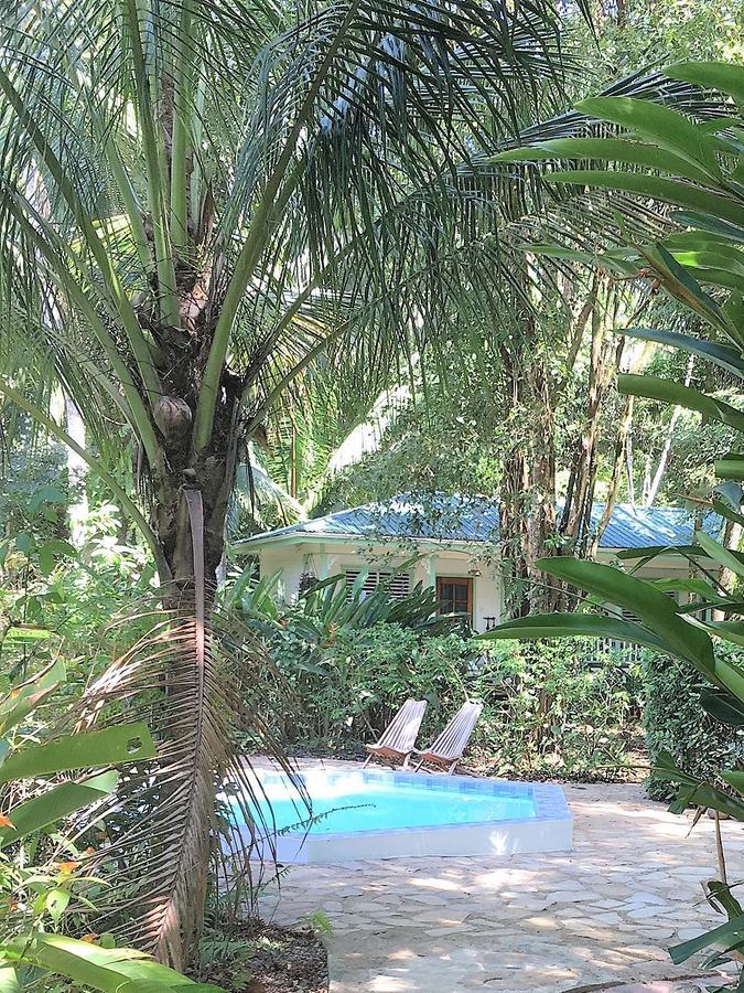 Hickatee Cottages, Belize, Central America Punta Gorda Εξωτερικό φωτογραφία