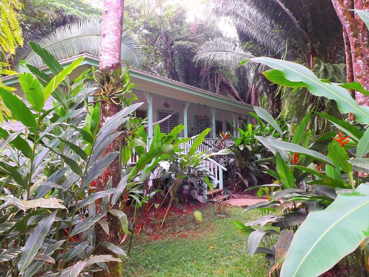 Hickatee Cottages, Belize, Central America Punta Gorda Εξωτερικό φωτογραφία
