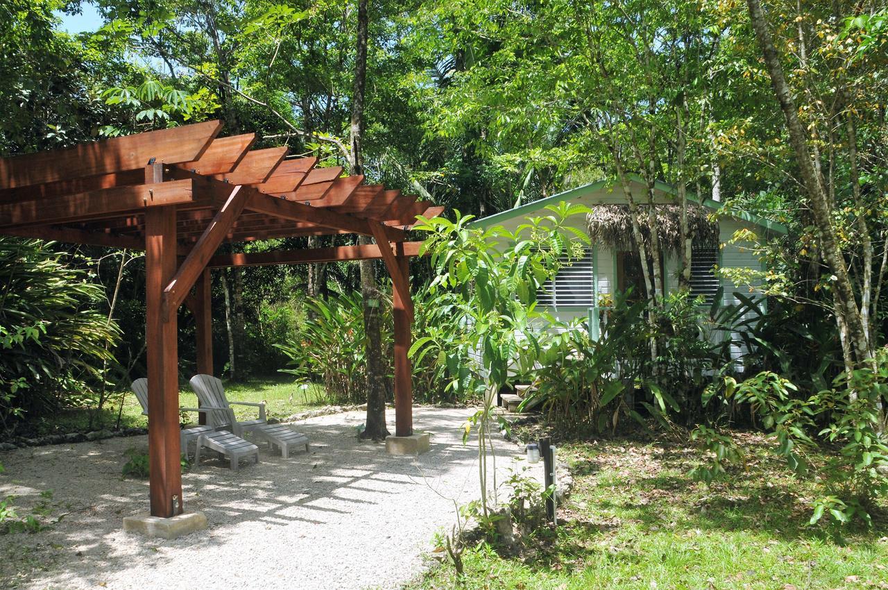 Hickatee Cottages, Belize, Central America Punta Gorda Εξωτερικό φωτογραφία