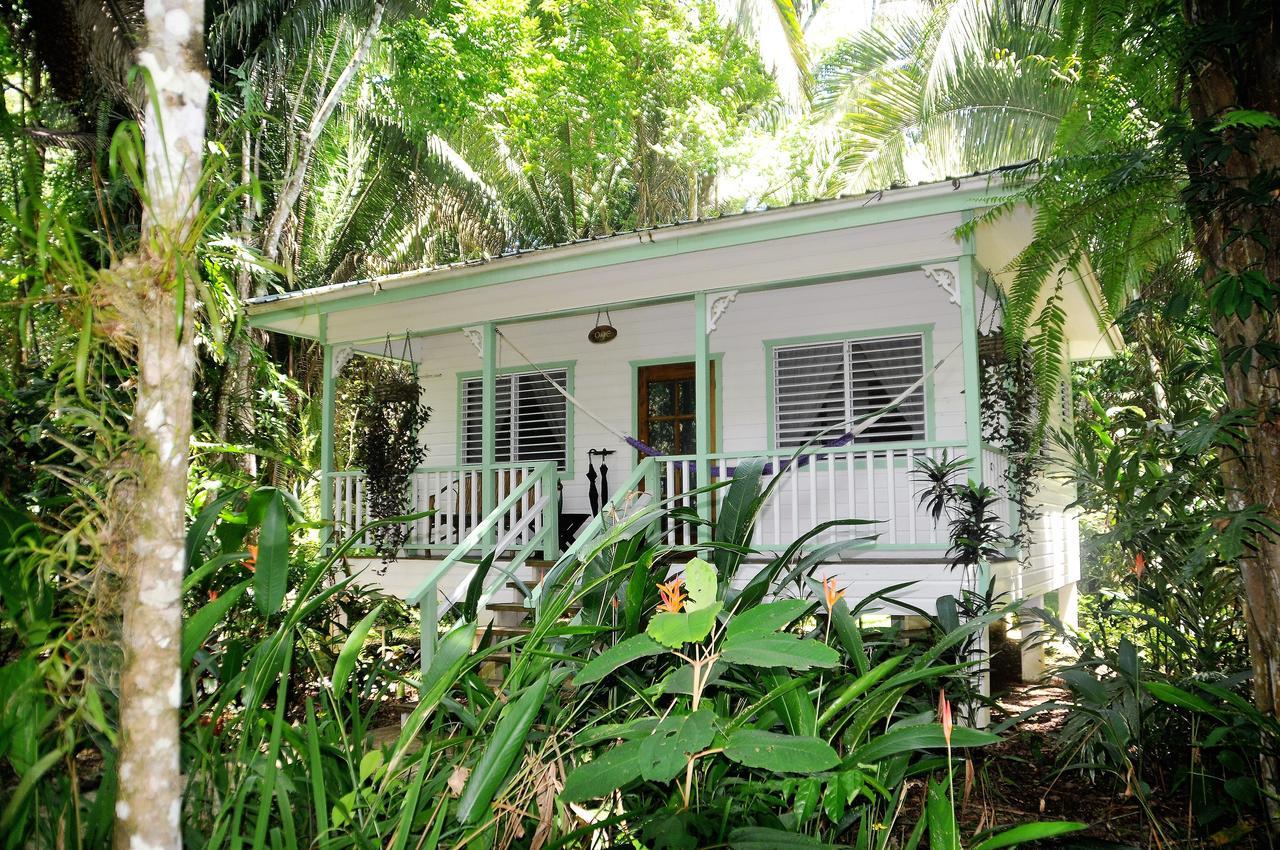 Hickatee Cottages, Belize, Central America Punta Gorda Εξωτερικό φωτογραφία