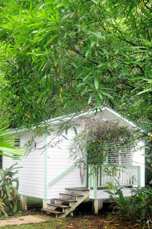 Hickatee Cottages, Belize, Central America Punta Gorda Εξωτερικό φωτογραφία