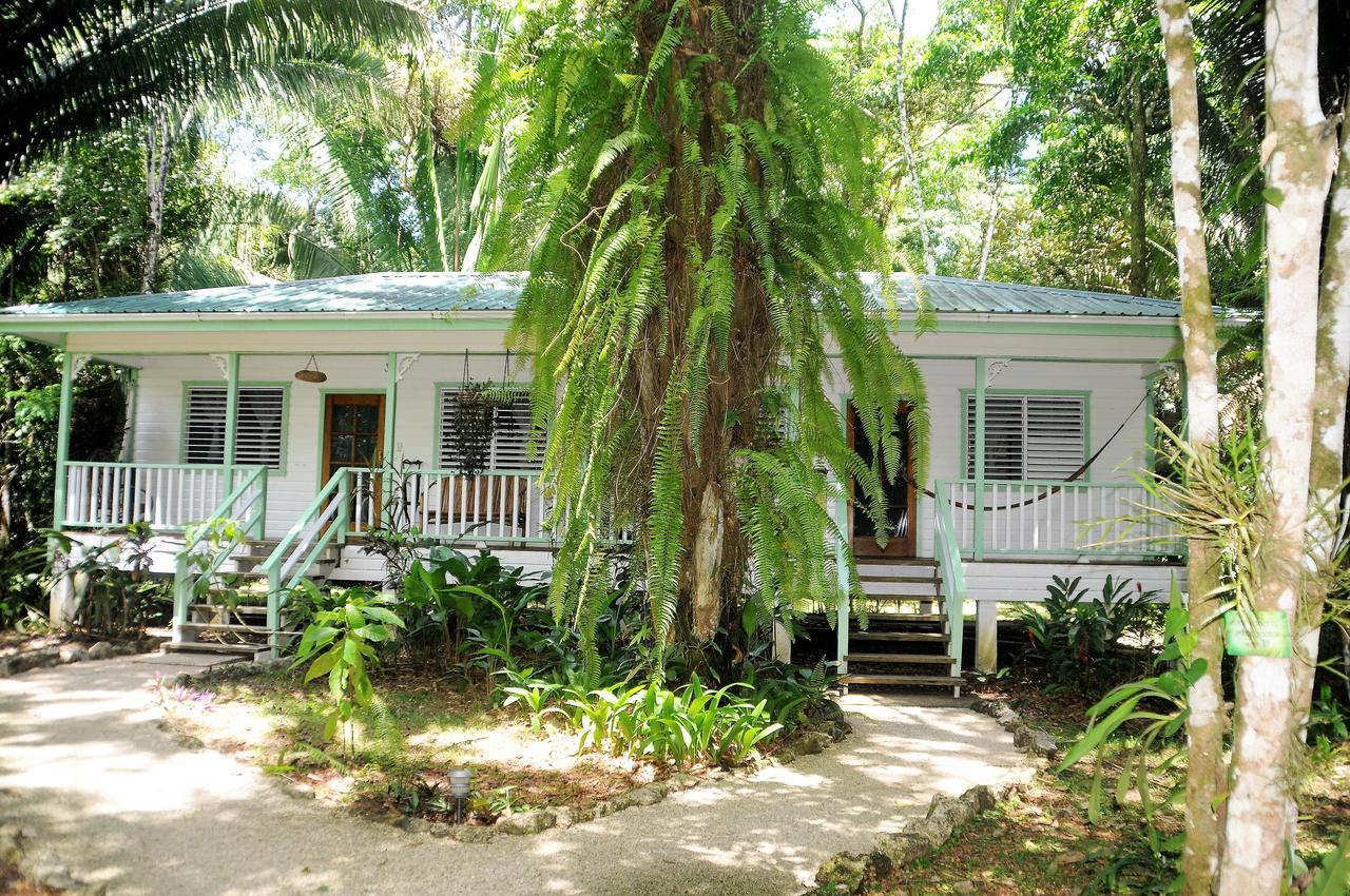 Hickatee Cottages, Belize, Central America Punta Gorda Εξωτερικό φωτογραφία