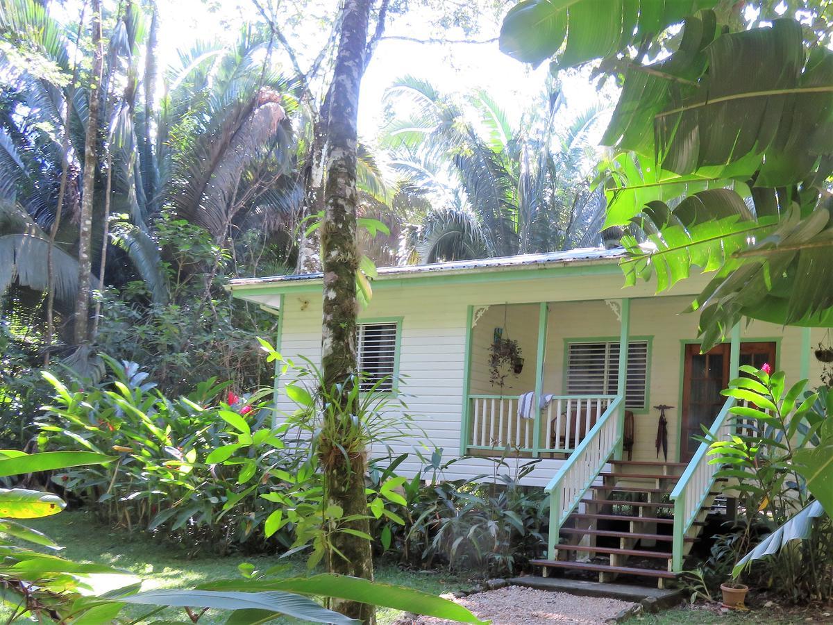 Hickatee Cottages, Belize, Central America Punta Gorda Εξωτερικό φωτογραφία